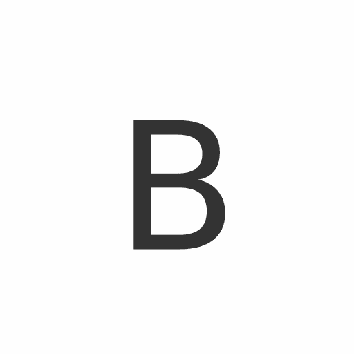 Bengal Transportation Services LLC